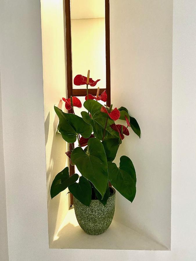 Douro B&B Avenida Ресенде Екстериор снимка